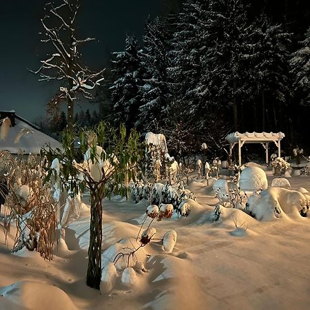 Willa Kaliniec คาร์ปัตซ์ ภายนอก รูปภาพ